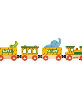 story-train-safari-bois