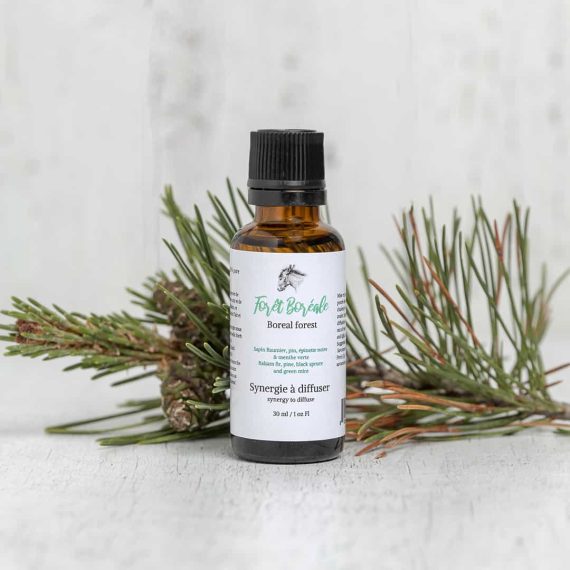 Huile Essentielle synergie Foret Boreale Glup Montreal