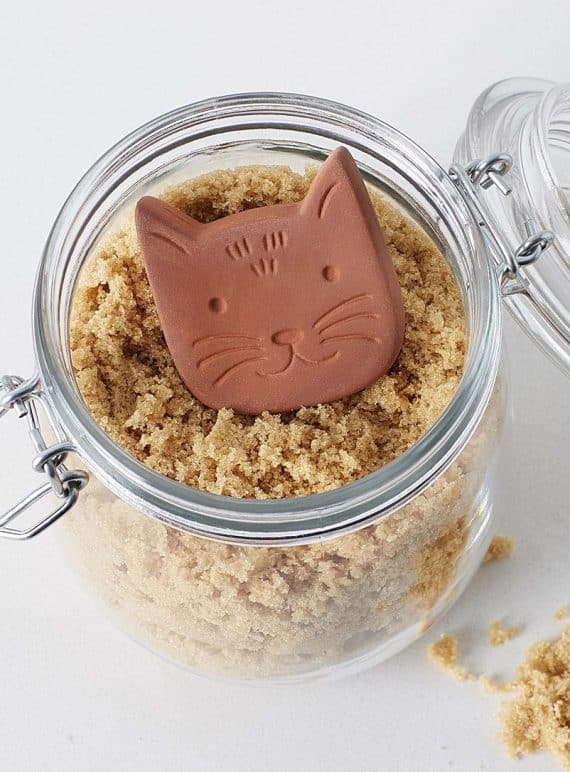 le chat de conservation a cassonade